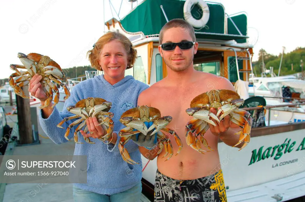 Dungeness Crabs, Friday Harbor, San Juan Islands, Washington State, USA