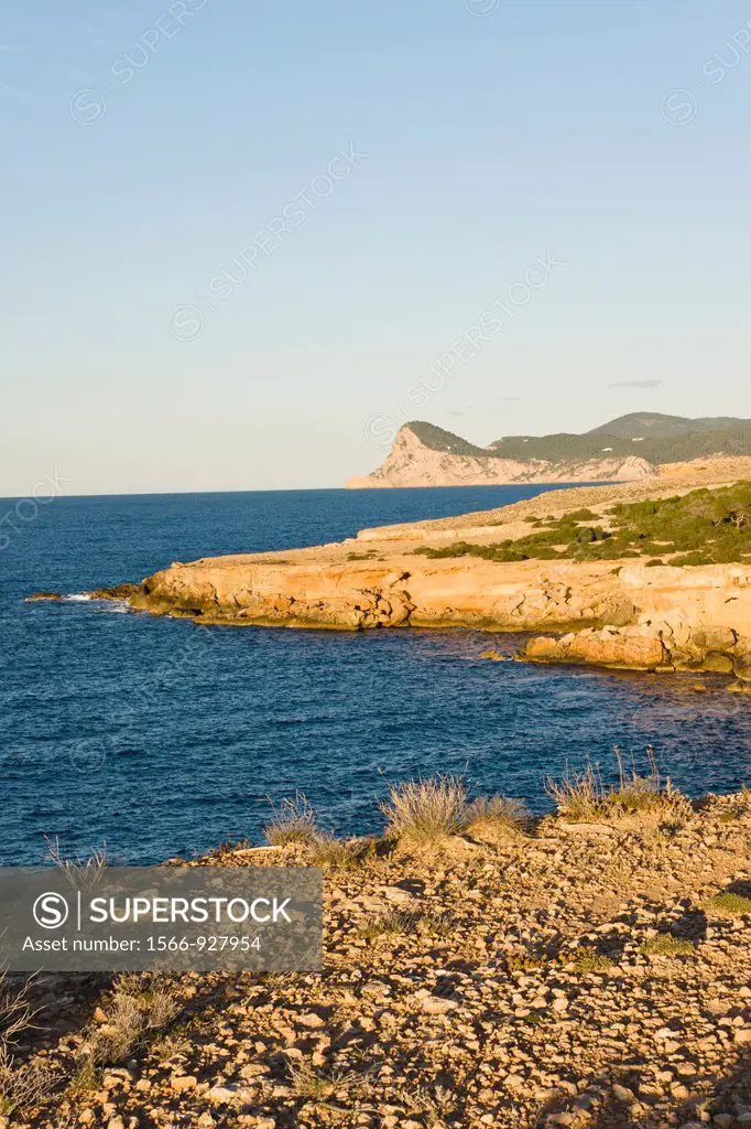 Cliffs of Cap Bassa and Cap Nunó, Cala Bassa Cala Compte Natural Park, Ibiza, Balearic Islands, Spain