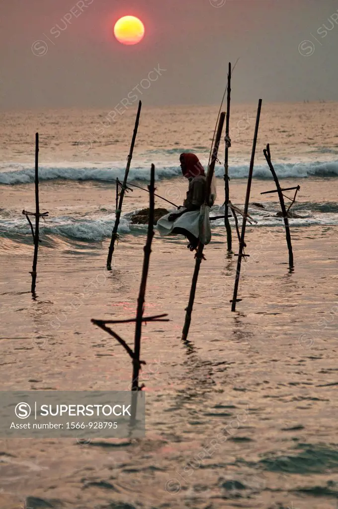 stilt fisherman perched on his pole at sunset, Midigama, Sri Lanka