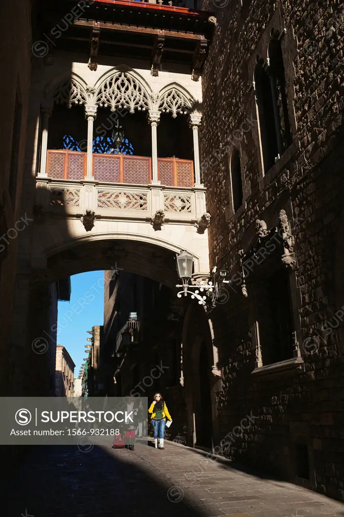 Carrer del Bisbe, Bisbe Irurita street, Gothic Quarter, Barcelona, Catalonia, Spain