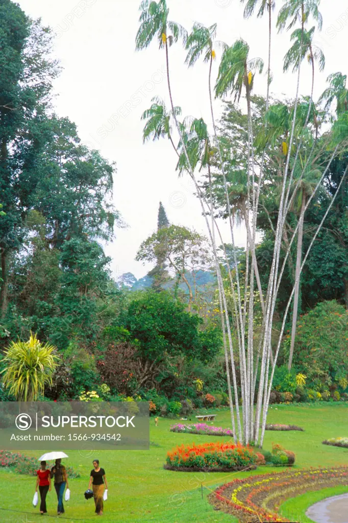 Peradeniya Botanical Gardens, Kandy, Sri Lanka