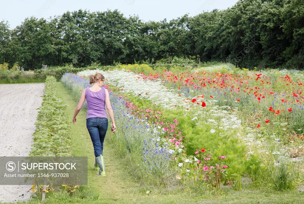 Young woman walks through flower garden, Terschelling, Netherlands