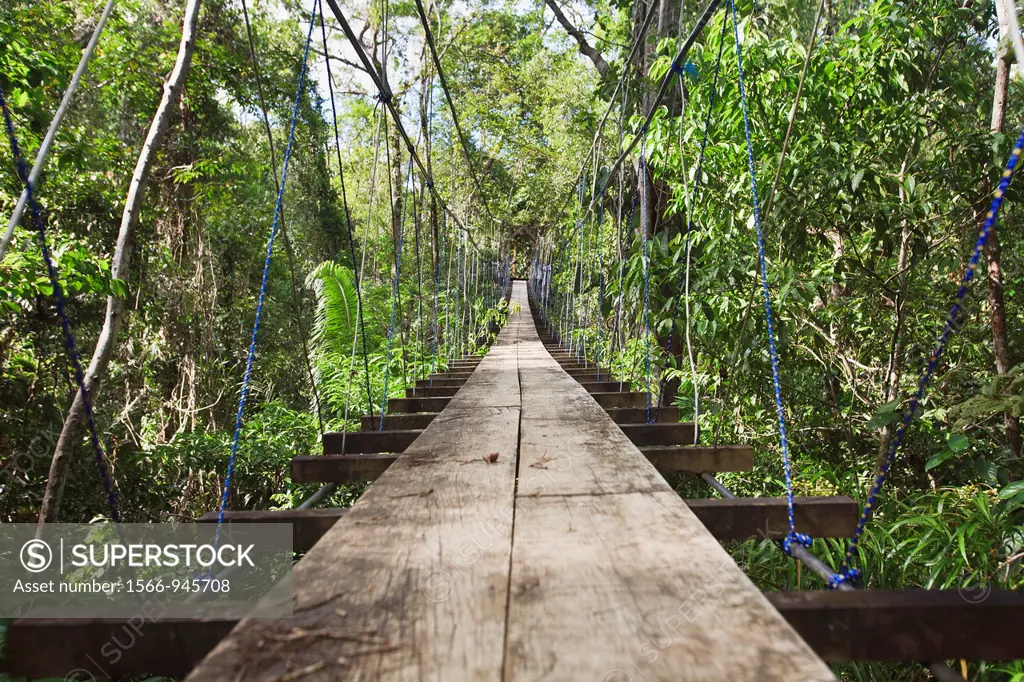 Guatemala, Rio Dulce, wooden suspension path through the jungle