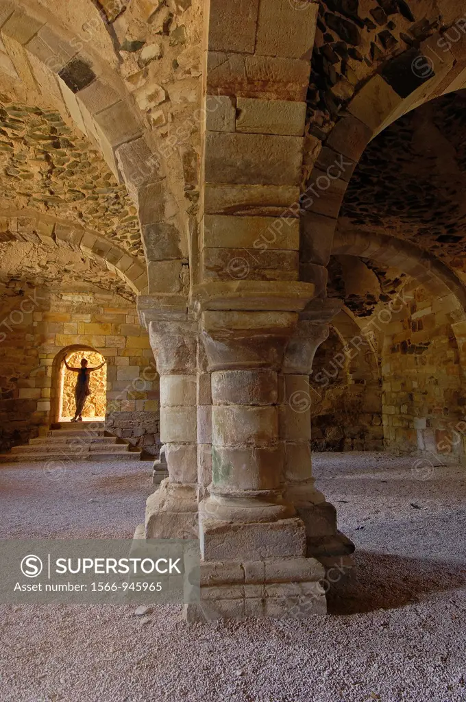 Ruins of Santa Maria de Moreruela Cistercian monastery (12th century), Granja de Moreruela, Zamora province, Castilla-Leon, Spain