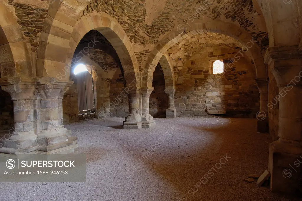 Ruins of Santa Maria de Moreruela Cistercian monastery (12th century), Granja de Moreruela, Zamora province, Castilla-Leon, Spain