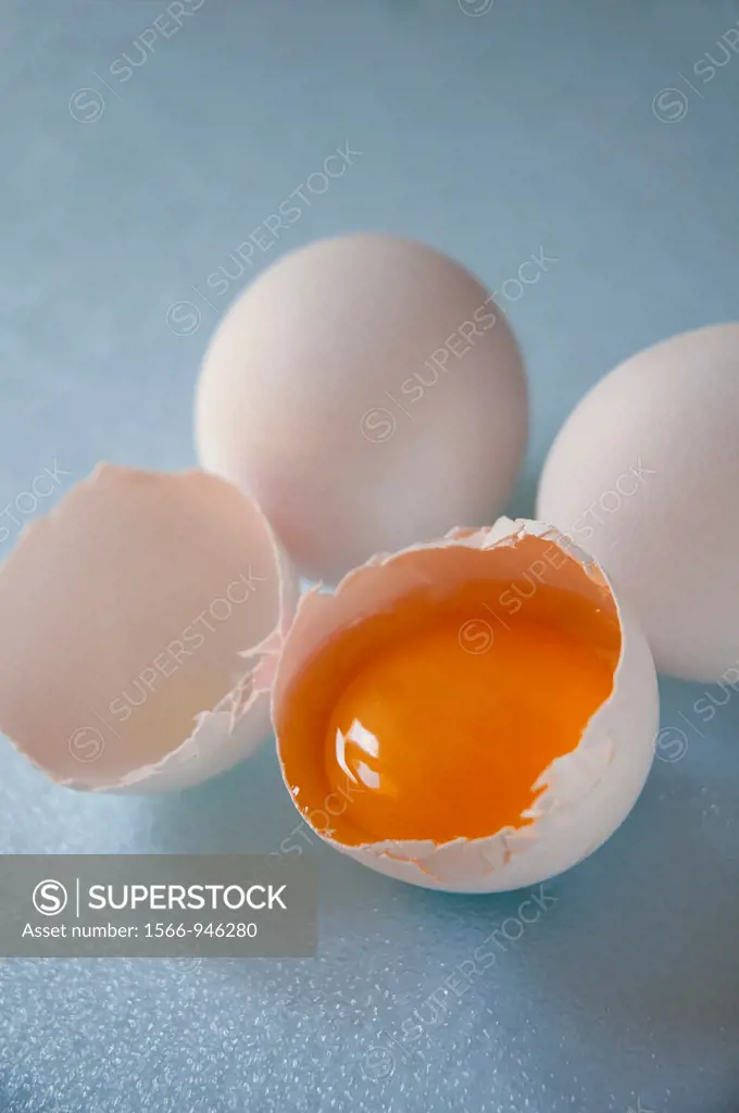 Yolk of white egg