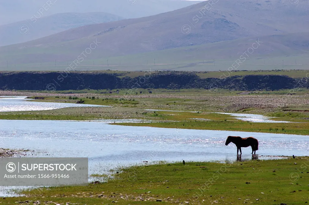 Orkhon River, Orkhon Valley, Ovorkhangai district, Mongolia