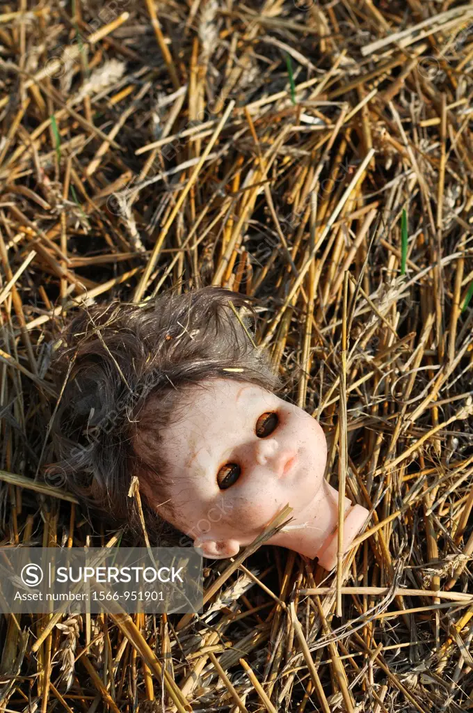 Bazzano (Bologna, Italy): a dolls head in a field