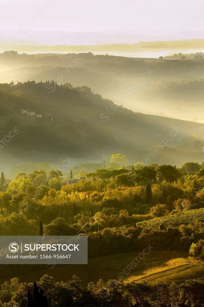 Views across the vineyards and olive groves of the Chianti Region from San Gimignano, Tuscany Italy