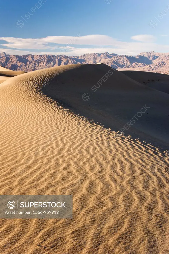 Sensuously sculpted sand dune in Death Valley National Park