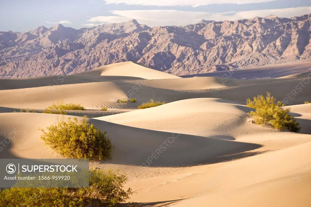 Serenity in sand as Death Valley dunes contrast with the barren mountains