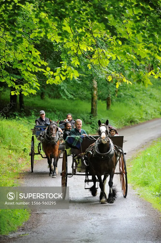 Ireland, County Kerry, Killarney, Muckross Gardens, Horse carriages