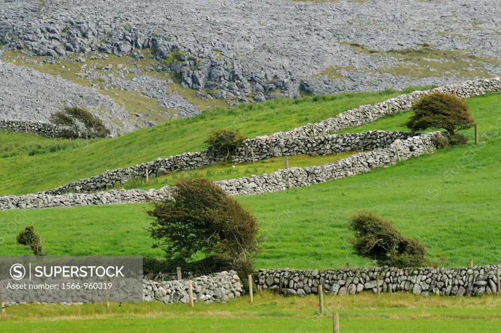 Ireland, County Clare, Ballyvaughan surroundings, The Burren