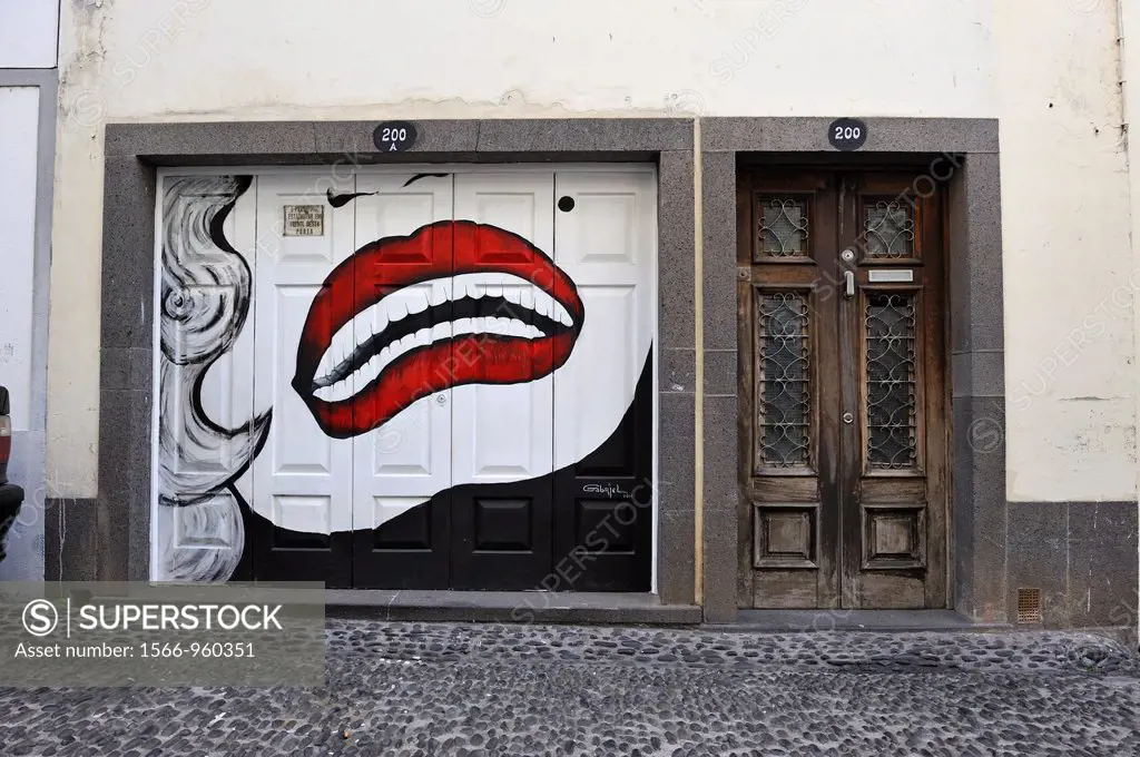 painted doors of Santa Maria street in the old town, Funchal, Madeira island, Atlantic Ocean, Portugal