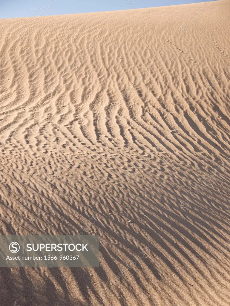 Beautiful sand ripple patterns on Death Valley sand dunes