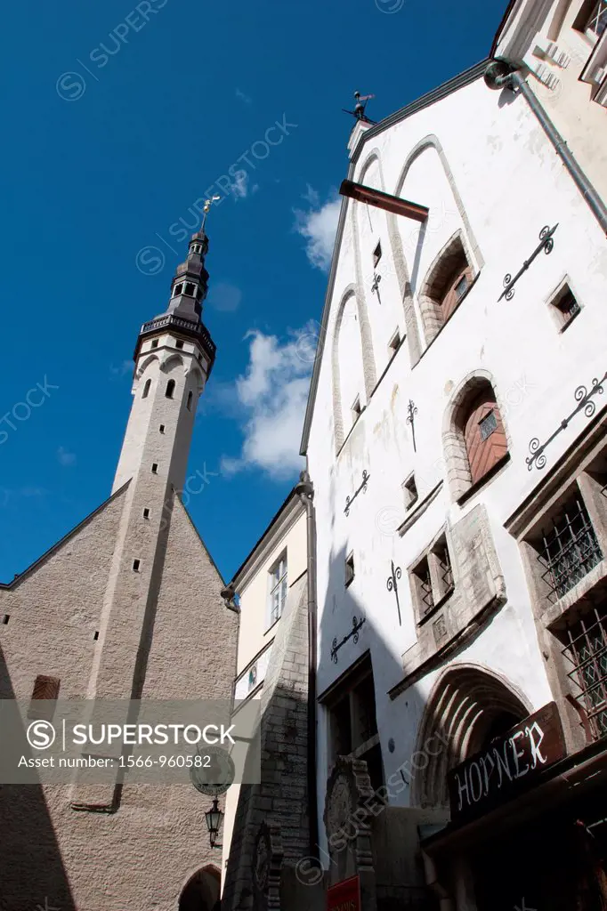 Town Hall Tower, Tallinn, Harju, Estonia