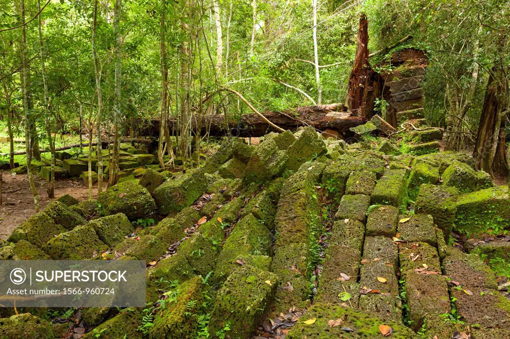 Preah KhanPrah Khan, Sacred Sword, is a temple at Angkor, Cambodia, built in the 12th century for King Jayavarman VII, It is located northeast of Angk...