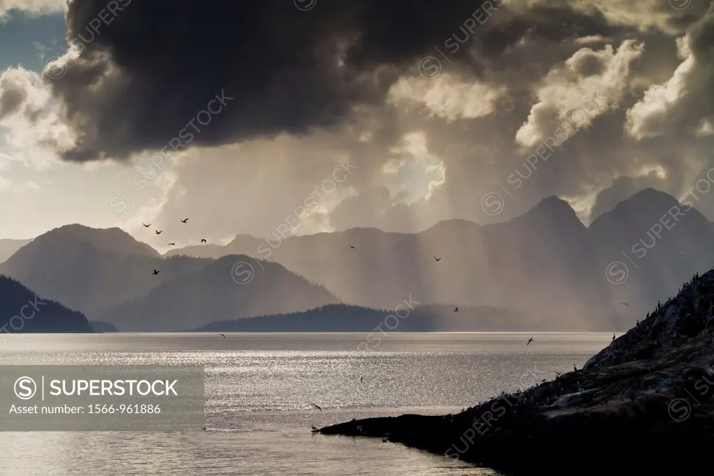 Scenic view of Glacier Bay National Park and Preserve in Southeast Alaska, USA, Pacific Ocean