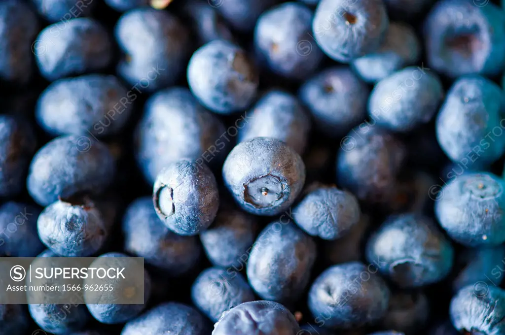 Crates of blueberries for sale at a farmer´s market