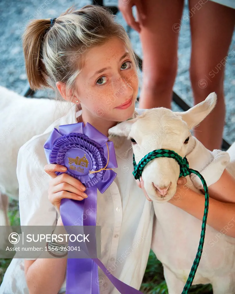 Girl with ribbon winning lamb at the Mason Dixon Fair