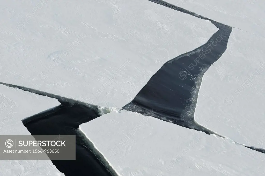 Cracks in Pack ice Ice Floe  Weddell Sea, Antarctic Peninsula, Antarctica