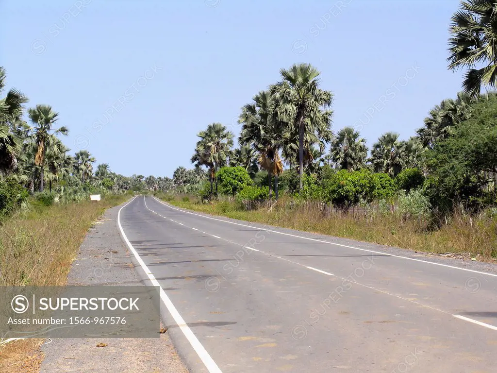 Main coast road north to capital Banjul from near Kartong in south of The Gambia