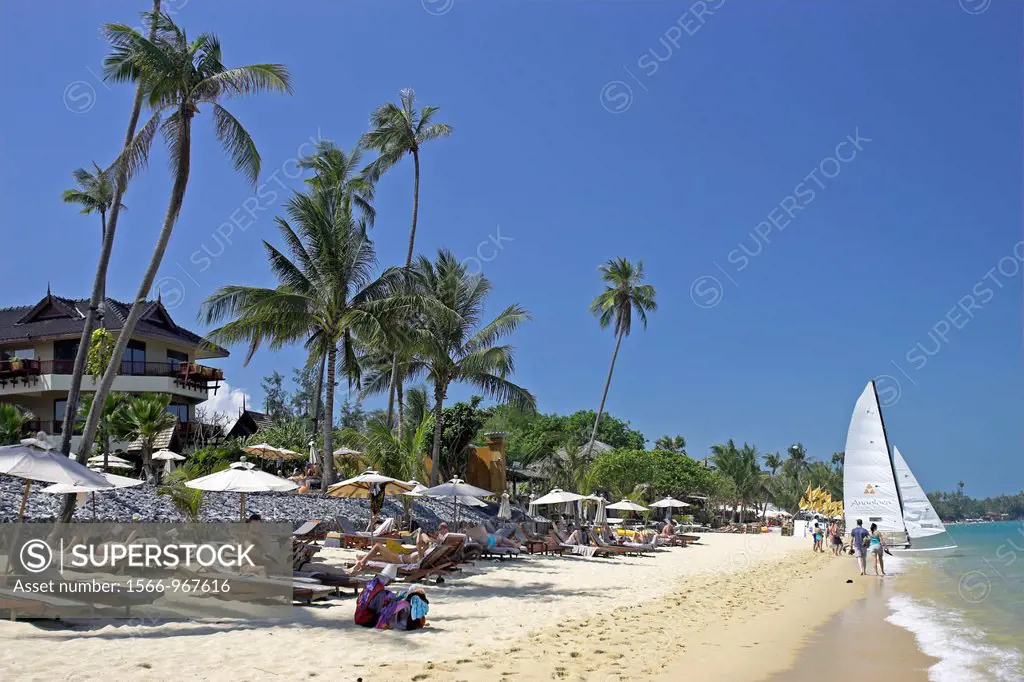 Palm trees resort umbrellas and beach catamaran Bo Phut Beach north Ko Samui island Thailand