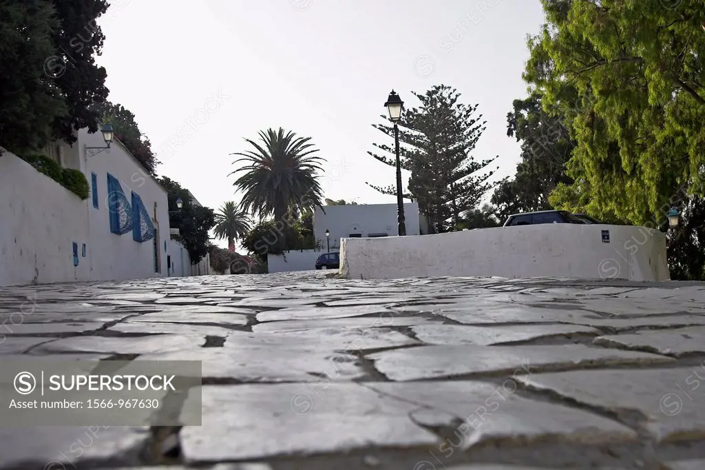 Cobbled street Sidi Bou Said village Tunisia