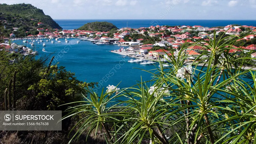 Red tin roof buildings surround Gustavia port St Barts