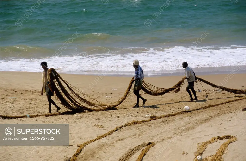 Traditional net seine fishing, Beruwala beach, Sri Lanka