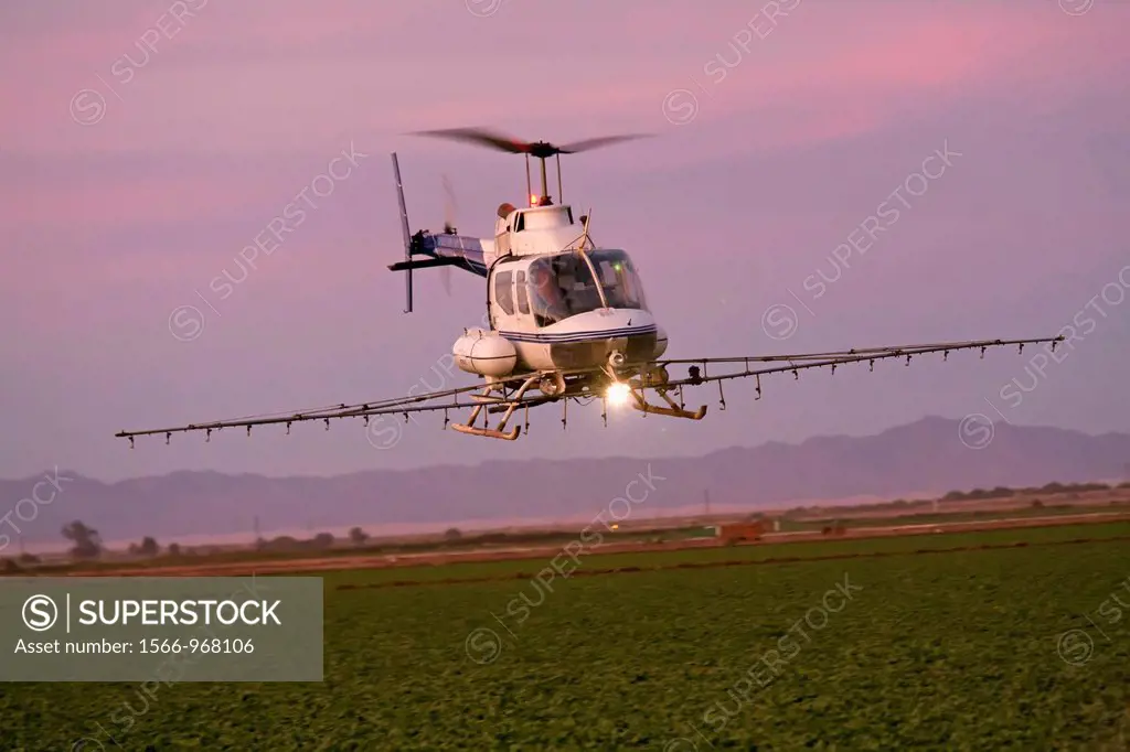 Holtville, California - A helicopter sprays a field in the Imperical Valley