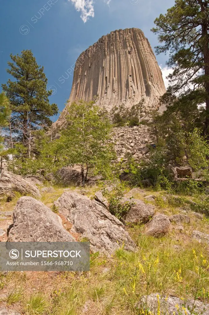 Devil`s Tower National Monument, Wyoming, USA