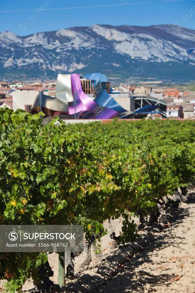 Spain, Basque Country Region, La Rioja Area, Alava Province, Elciego, elevated town view and Hotel Marques de Riscal, designed by Architect Frank Gehr...