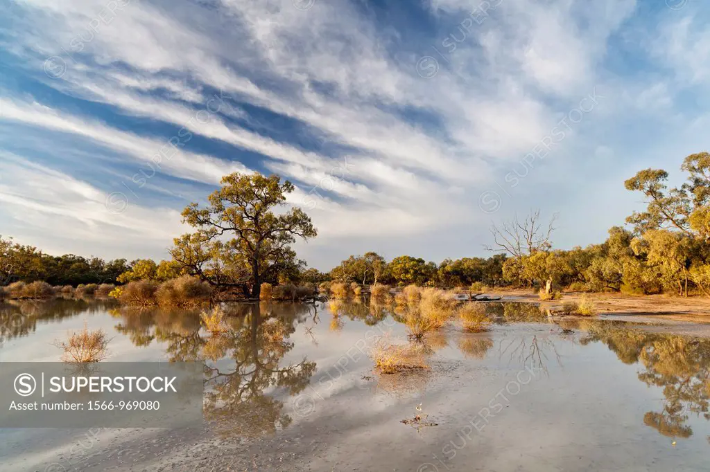 Landscape in the Hattah -Kulkyne Park in the Mallee Region of Australia  The Hattah lake system is listed as a RAMSAR site of international importance...