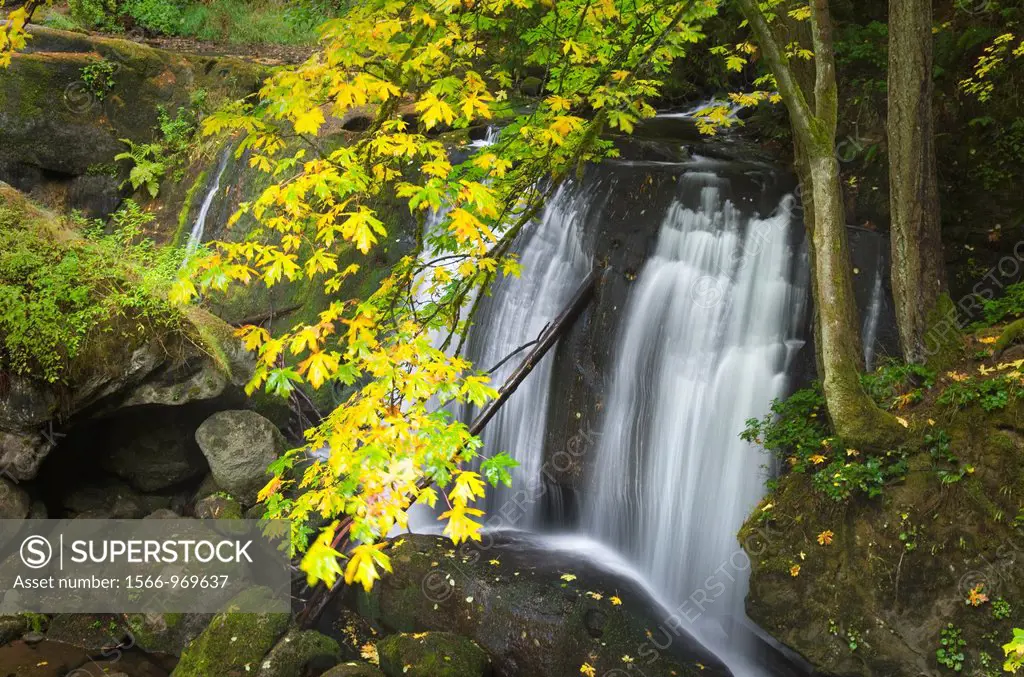 Whatcom Falls in Autumn, Bellingham, Washington
