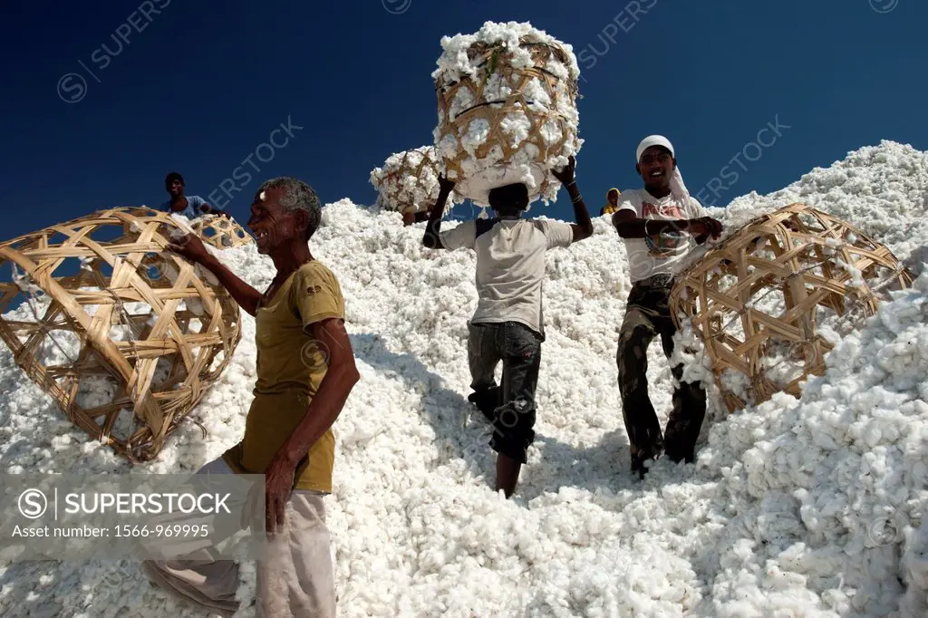Cotton Shri Dnyaneshwar Ginning Pressing factory Pvt Ltd Kadka Maharashtra India