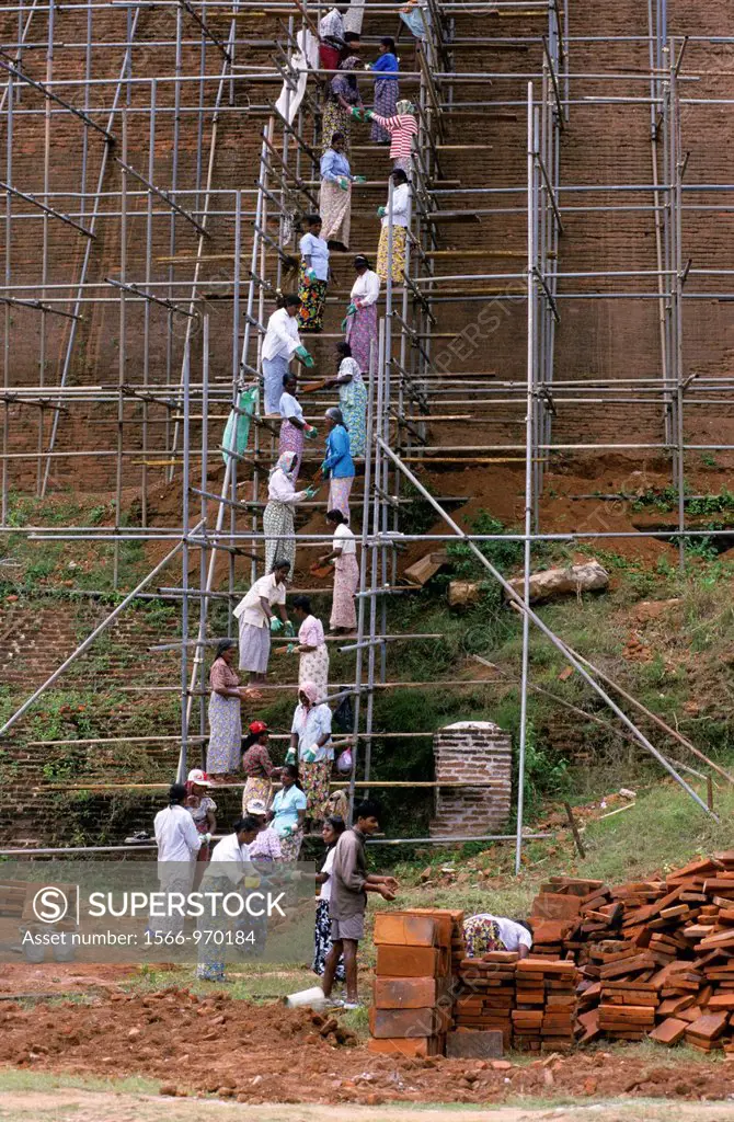 Human chain passing bricks for restoration of stupa Jetavanarama, Anuradhapura, Sri Lanka