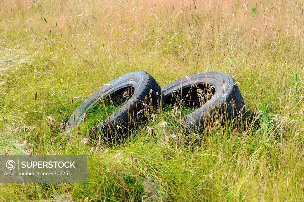 Old car tires on a green mead in Poland, Mazovia region