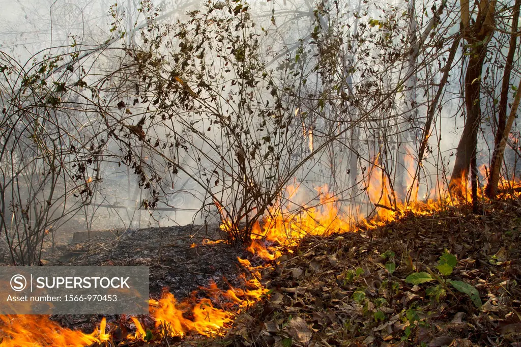 Wild fires in the rain forest of Kanchanaburi region in western Thailand