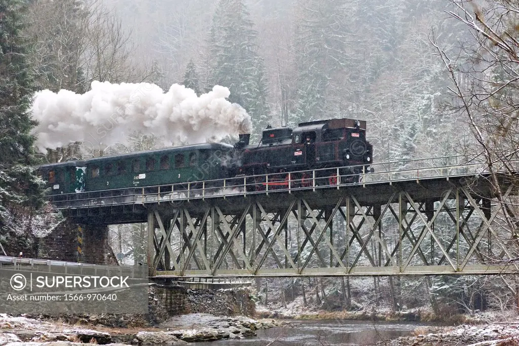 steam train near Hradsko, Czech Republic