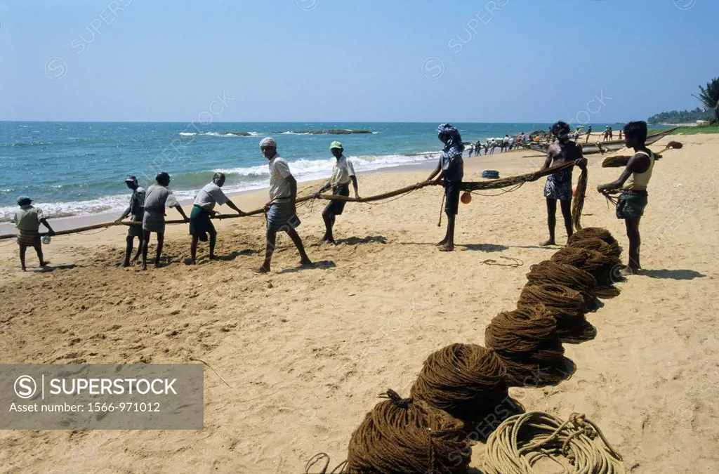 Traditional net seine fishing, Beruwala beach, Sri Lanka
