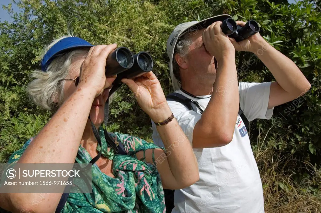 Bird watchers with binoculars spotting migratory and local species in bush south of The Gambia