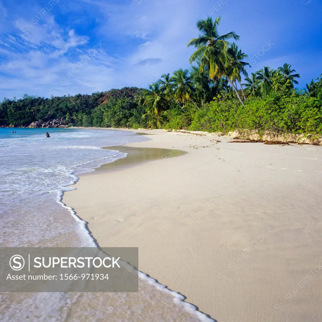 Sandy beach with palm trees, Praslin island, Seychelles