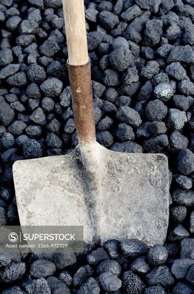 Bituminous coal, also called Carbon, a type of coal used by energy industry