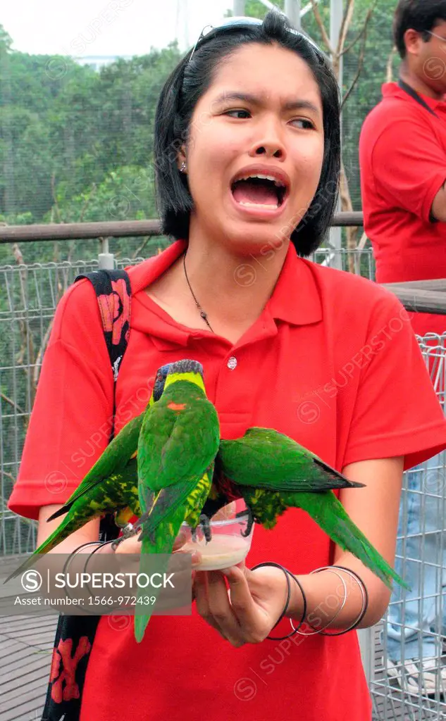 Young visitor shrieks as lorikeets arrive to feed from her nectar bowl Jurong Bird Park Lory Loft Singapore