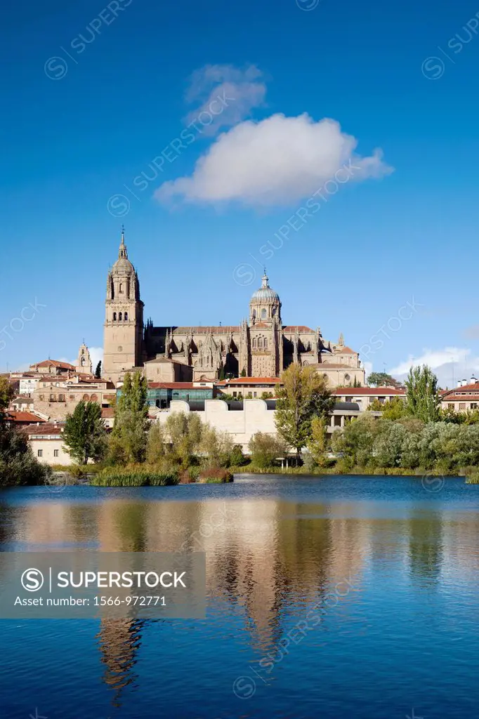 Spain, Castilla y Leon Region, Salamanca Province, Salamanca, Salamanca Cathedrals and town, viewed from the Tormes River