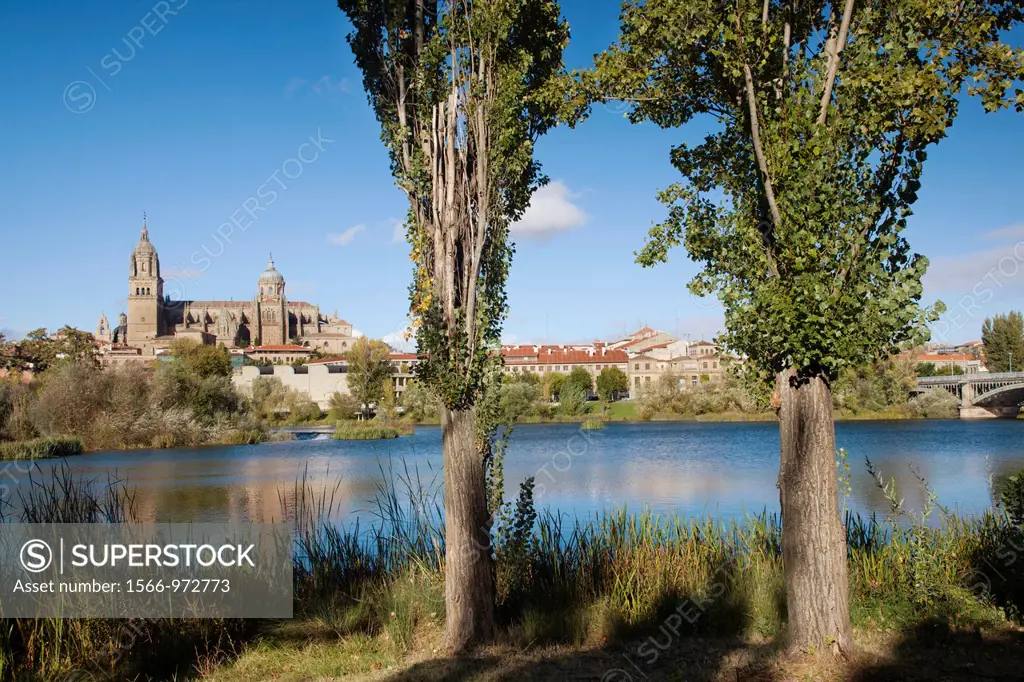 Spain, Castilla y Leon Region, Salamanca Province, Salamanca, Salamanca Cathedrals and town, viewed from the Tormes River