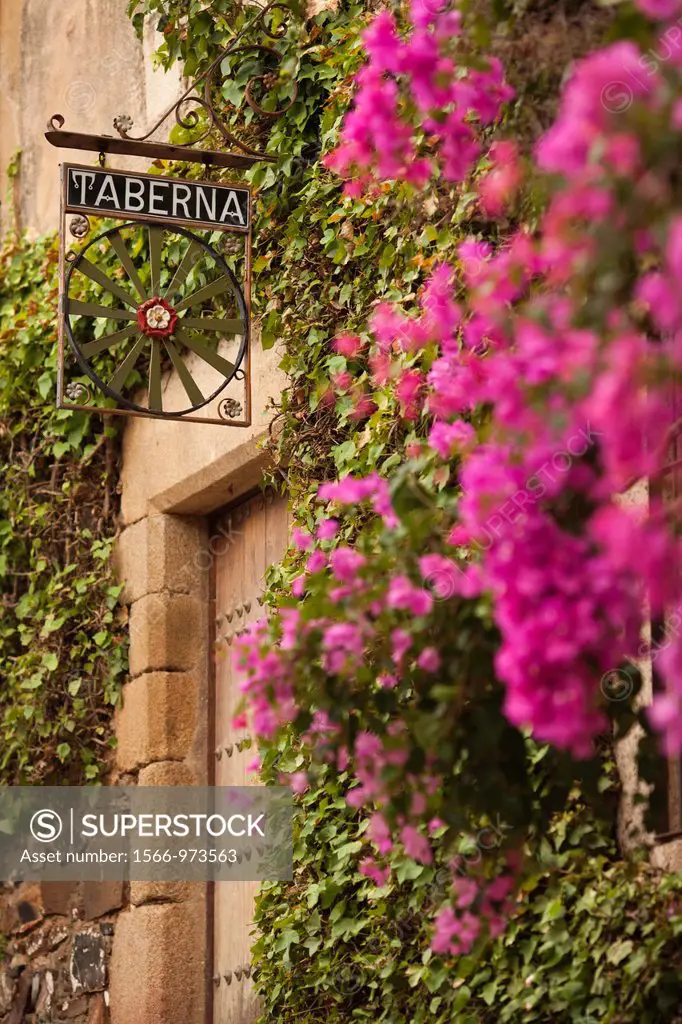 Spain, Extremadura Region, Caceres Province, Caceres, Ciudad Monumental, Old Town, flower-covered buildings