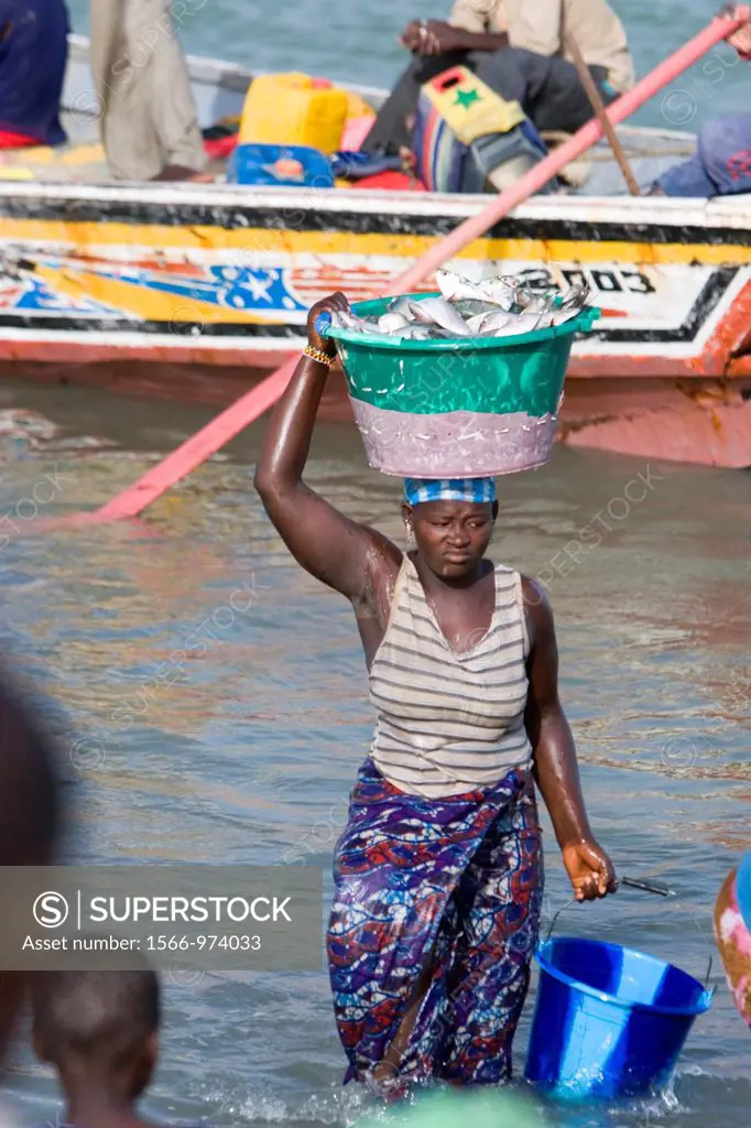 Woman carries basin of fish on head up crowded beach as open fishing boats arrive with catch Tanji The Gambia