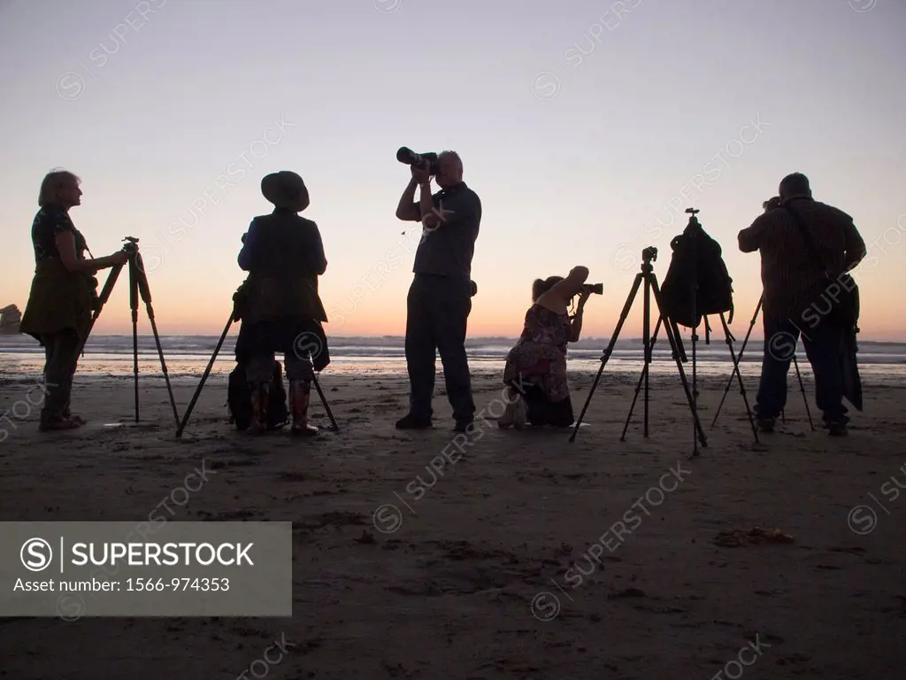 Photographers on the beach in Morro Bay, California, United States